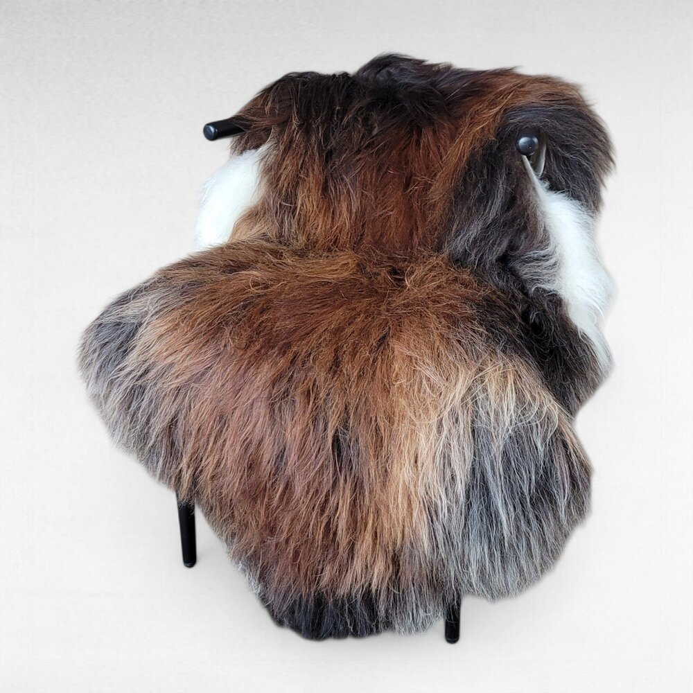 XL Icelandic Sheepskin - Unique Brown Moorit 55" x 34"